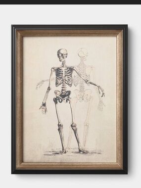 14"x18" Skeleton Halloween
Wall Art Framed Dark Off-White
- Threshold™